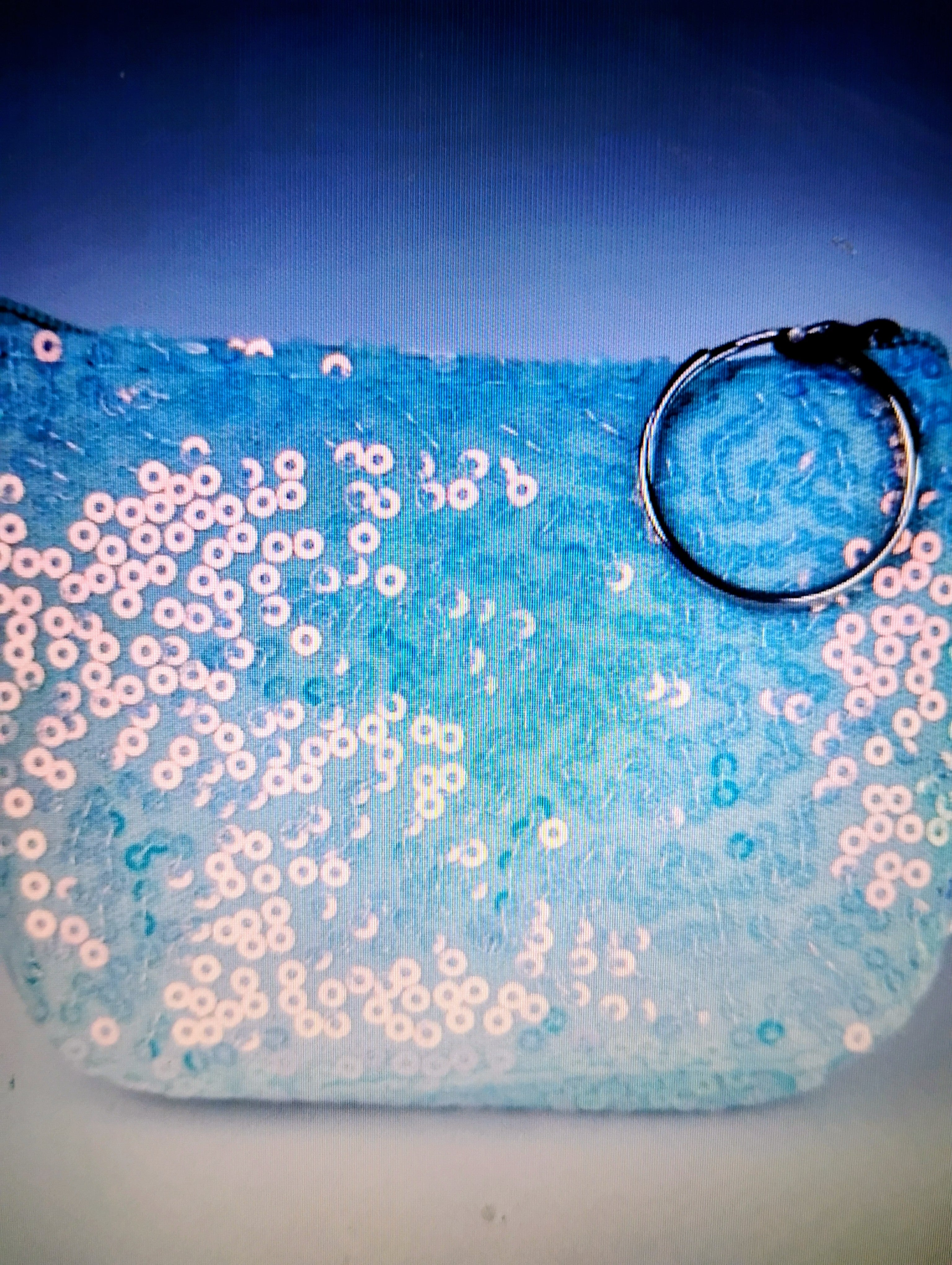 Blue Sequin Coin Purse