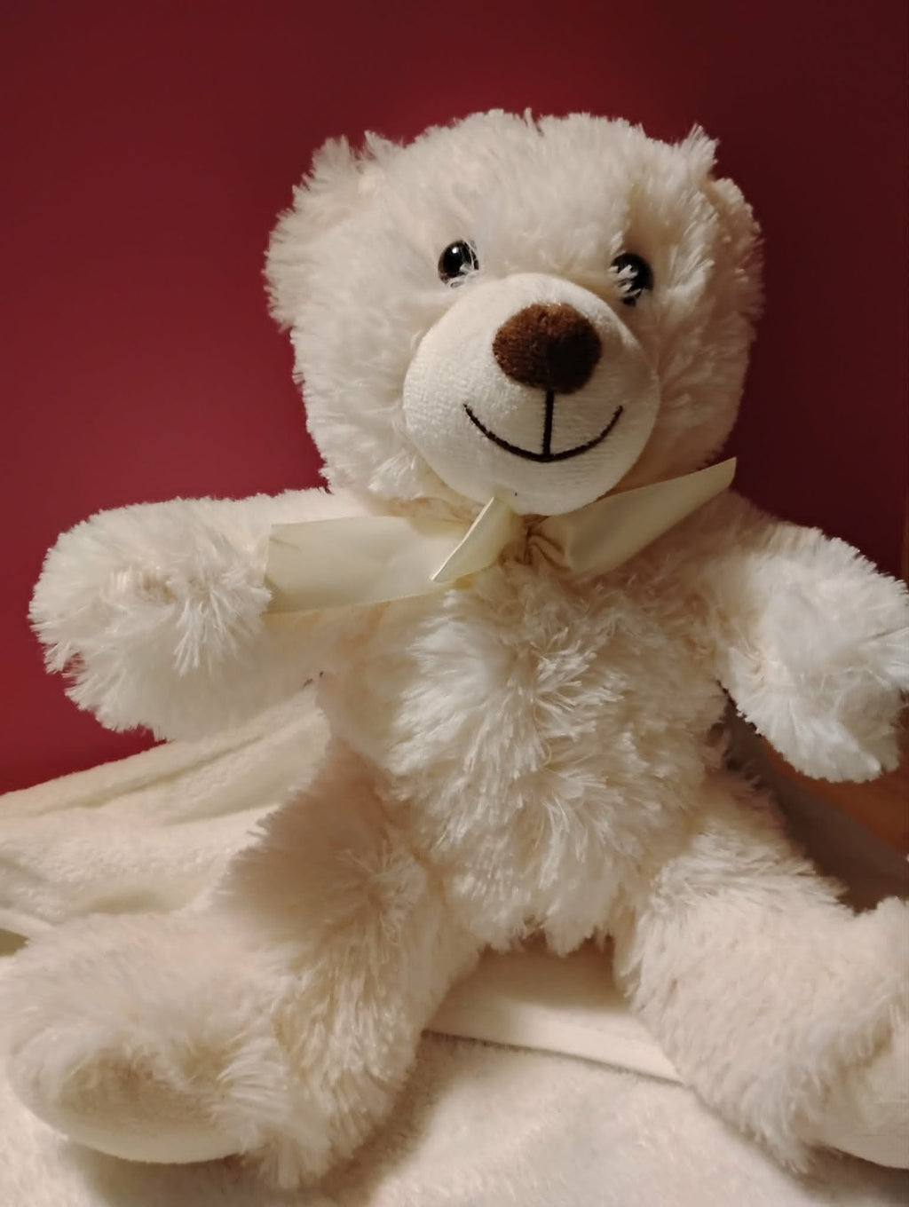 Fluffy White Teddy Bear