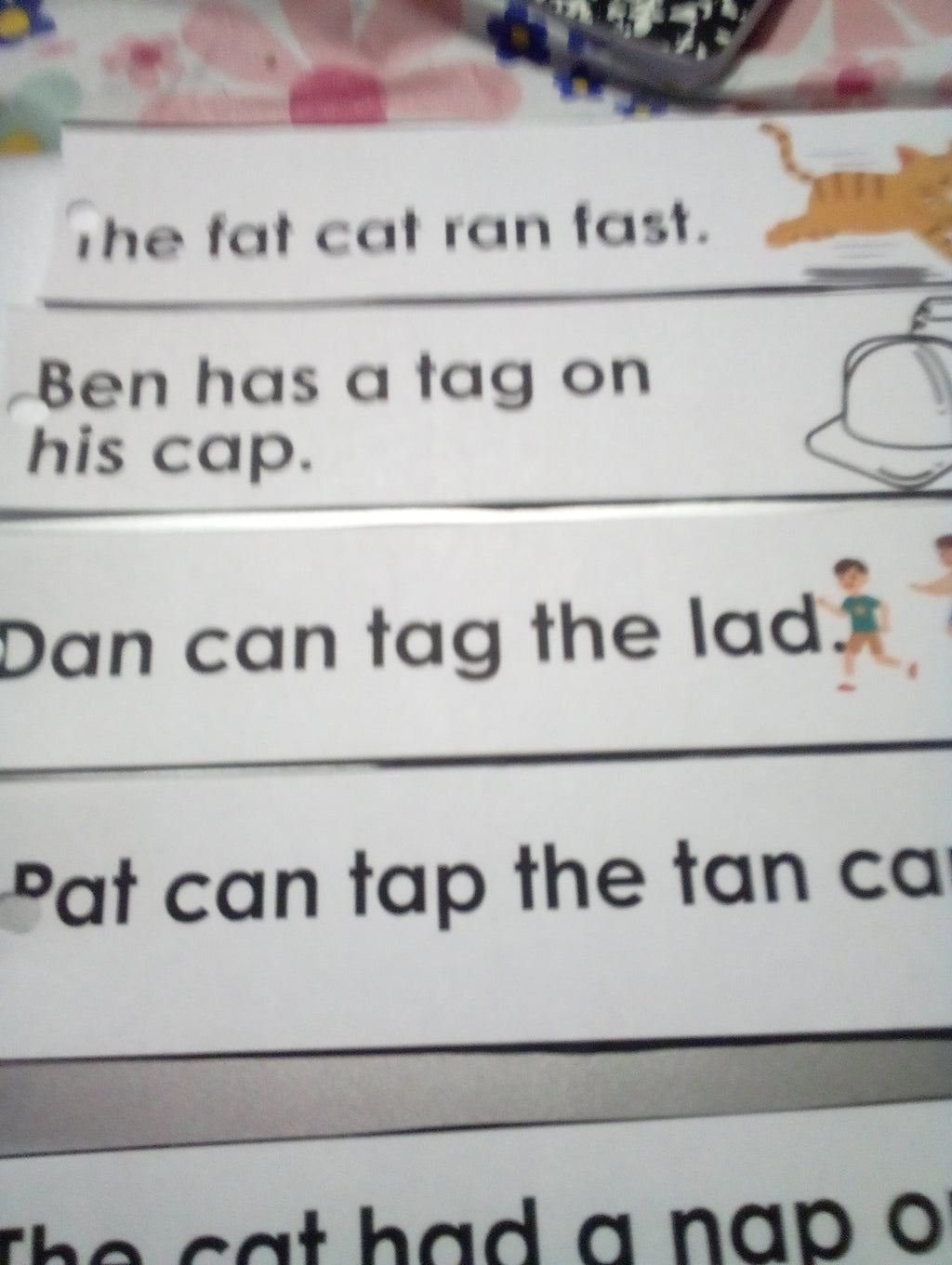 Short Vowel Sentence Strips