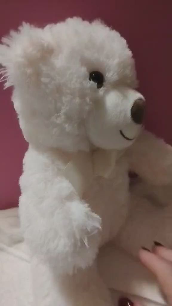 Fluffy White Teddy Bear
